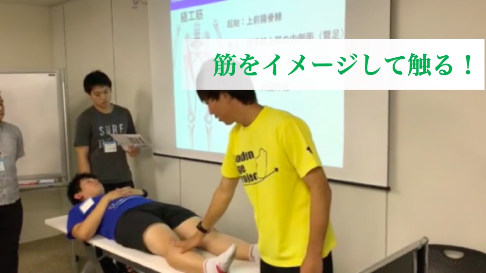 動画 実践 体表解剖学 下肢編 基礎勉強会 トレーナーズアカデミー
